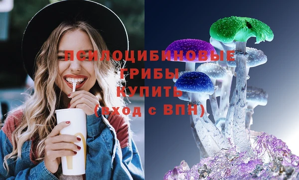 стафф Горнозаводск